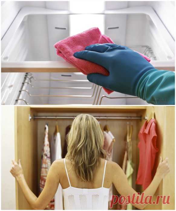 Необычные способы применения горчицы в хозяйстве — Лайфхаки