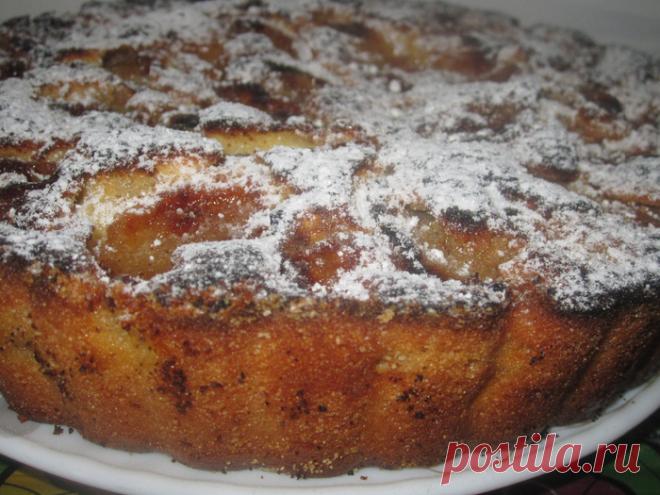 Шарлотка от Александра Селезнёва