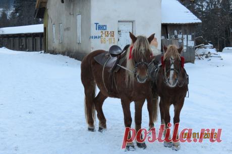 Такси.Домчим в любой уголок Украины с ветерком.Ветер гарантирован.(Яремча.Украина)