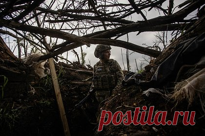 Проблемы обороны ВСУ под Красноармейском объяснили деревьями