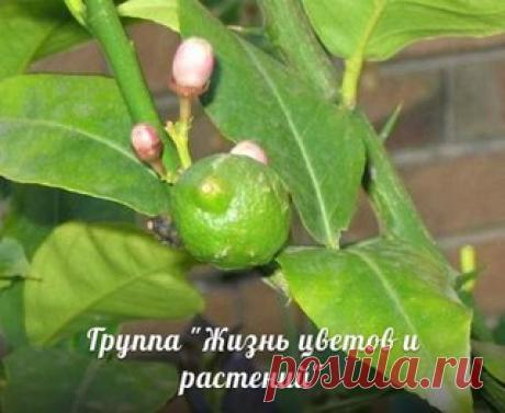 Мои закладки