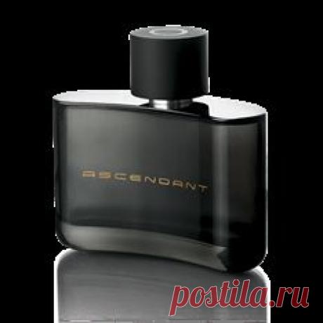 Парфюмерные продукты – Для мужчин – Ароматы | Oriflame