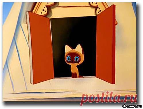 Школа раннего развития