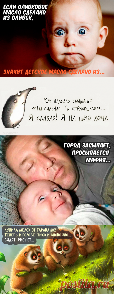 Самая веселая подборка прикольных картинок