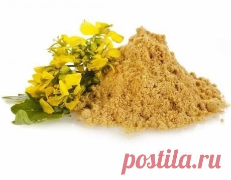 ГОРЧИЦА СПЕШИТ НА ПОМОЩЬ!!!
Граждане дачники, запасайтесь горчичным порошком заранее! Особенно, если вы ярый противник обработки своих садов-огородов химическими препаратами.
Если слизни – ваш враг номер один, давно и продуктивно портит вашу клубнику, капусту, помидоры, перцы и т. д., не ждите того момента, когда вам вообще ничего не достанется. Рассыпьте порошок между растениями, к которым плотоядно подползают полчища прожорливых слизняков, и результат ваших трудов – урожай – достанется только