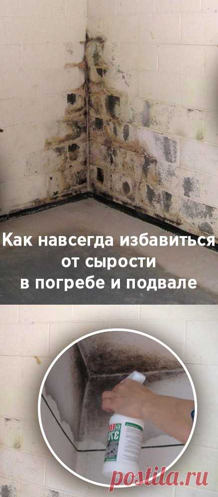 Как навсегда избавиться от сырости в погребе и подвале
