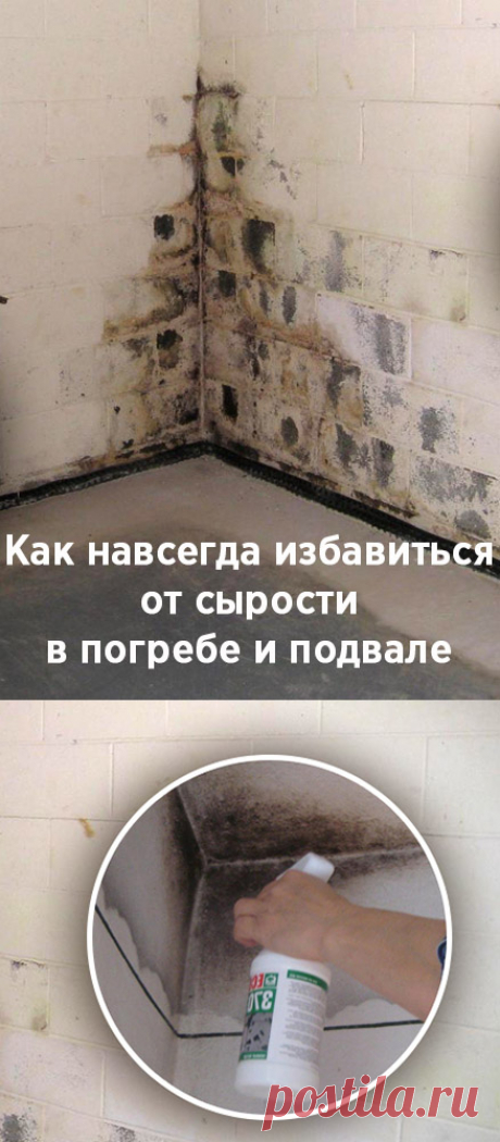 Как навсегда избавиться от сырости в погребе и подвале
