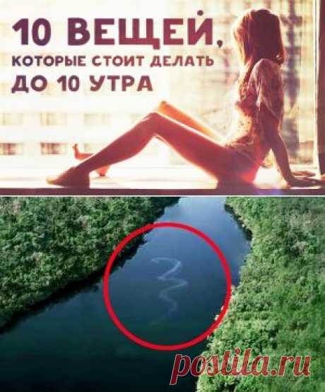 10 вещей, которые стоит делать до 10 утра