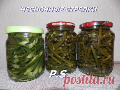 ЧЕСНОЧНЫЕ СТРЕЛКИ
