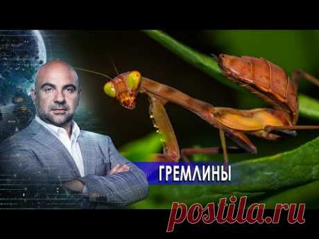 Гремлины. «Как устроен мир" с Тимофеем Баженовым (18.01.21).