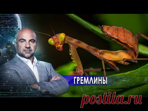 Гремлины. «Как устроен мир