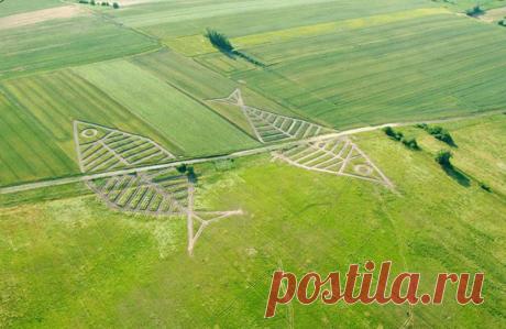 Какими могут быть границы (32 ) | ТАЙНЫ ВСЕЛЕННОЙ