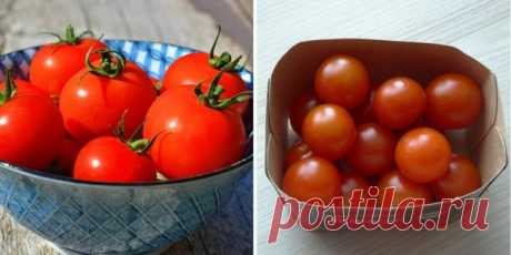 16 продуктов, которые могут храниться дольше, чем мы думали