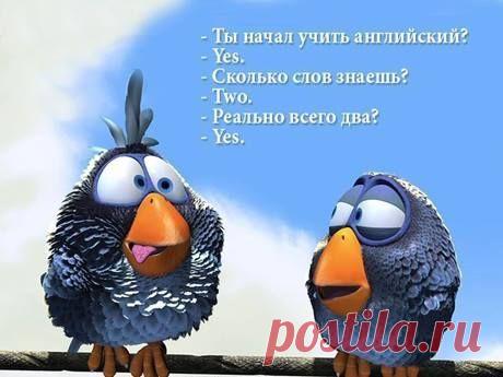 50 best English phrases / Неформальный Английский