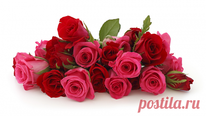 artleo.com_3118.jpg (1920×1080)