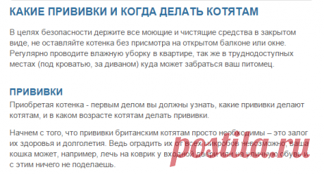 Какие прививки делают котятам, когда котятам британцам делать прививки, первая прививка котенку, прививки шотландским котятам, поведение котенка после прививки | Кошки - кто они?