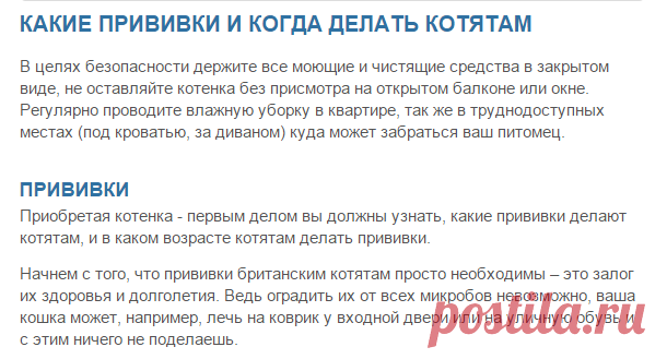 Какие прививки делают котятам, когда котятам британцам делать прививки, первая прививка котенку, прививки шотландским котятам, поведение котенка после прививки | Кошки - кто они?