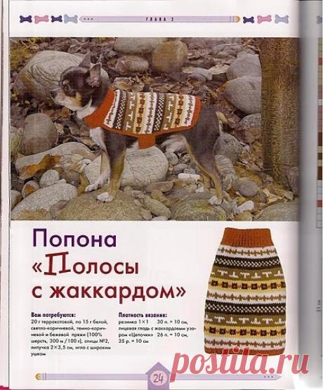 Для собак- вязаная одежда