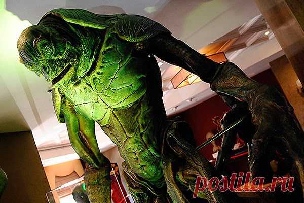 МБМ - Интернет-журнал: Какое НЛО "снизошло" с небес на читинские дачи?