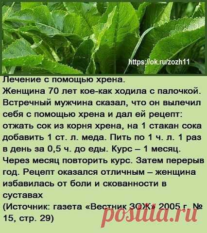 Рецепт от болей и скованности суставов | OK.RU