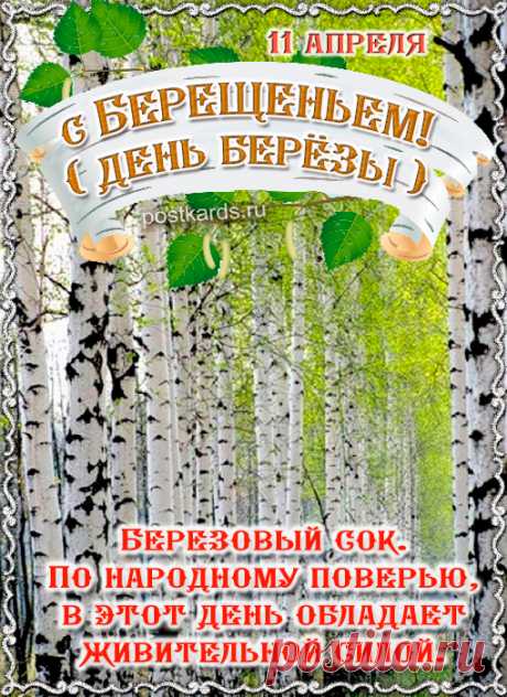 Берещенье - День Берёзы !