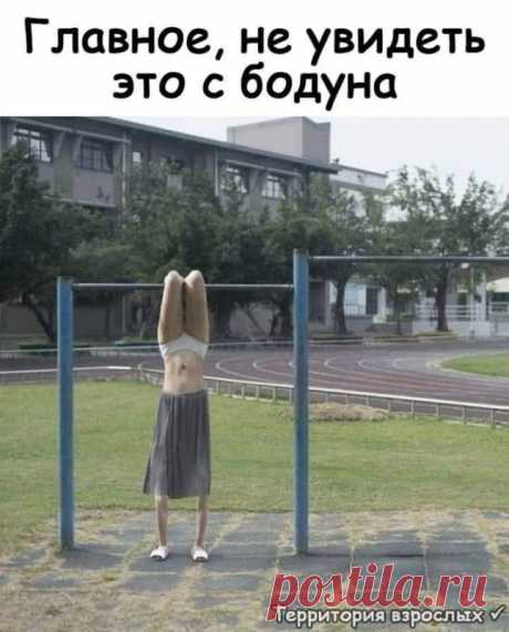 Скажите, Зяма, а Вы Пауло Коэльо читали? - Нет... - Вот Вы Лох! - А Вы?! - А я первый спросил! - Выпуск №2154 — Вокруг смеха