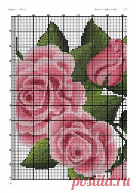 (81) Pinterest