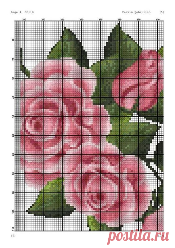 (81) Pinterest