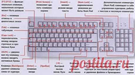 ЗНАЕТЕ ЛИ ВЫ КЛАВИАТУРУ НА СВОЁМ КОМПЬЮТЕРЕ?
F1— вызывает «справку» Windows или окно помощи активной программы. В Microsoft Word комбинация клавиш Shift+F1 показывает форматирование текста;
F2— переименовывает выделенный объект на рабочем столе или в окне проводника;
F3— открывает окно поиска файла или папки на рабочем столе и в проводнике. Комбинация клавиш Shift+F3 часто используется для поиска в обратном направлении;
F4— открывает выпадающий список, например, список строки адреса в окне ‘M