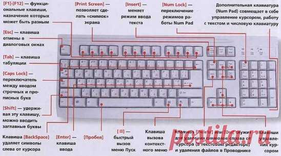 ЗНАЕТЕ ЛИ ВЫ КЛАВИАТУРУ НА СВОЁМ КОМПЬЮТЕРЕ?
F1— вызывает «справку» Windows или окно помощи активной программы. В Microsoft Word комбинация клавиш Shift+F1 показывает форматирование текста;
F2— переименовывает выделенный объект на рабочем столе или в окне проводника;
F3— открывает окно поиска файла или папки на рабочем столе и в проводнике. Комбинация клавиш Shift+F3 часто используется для поиска в обратном направлении;
F4— открывает выпадающий список, например, список строки адреса в окне ‘M