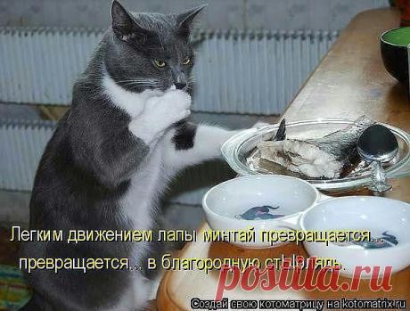 ((((Положительное Настроение))))
Петр Рубашкин