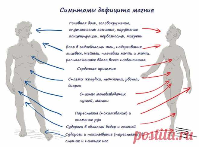ТЕСТ: Узнайте хватает ли вашему организму магния

Для того, чтобы понять насколько соответствуют условия вашей жизни необходимым оптимальным условиям для поддержания хорошего здоровья мы предлагаем провести самотестирование. Важнейшее условие здоровья: оптимальный уровень клеточного питания (гомеостаз). 

Причина большинства болезней - нарушение оптимального соотношения аминокислот, минералов, витаминов и др. 

Этот тест проверяет организм на полноценность клеточного питан...