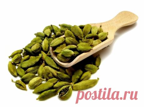 ШЕСТЬ РЕЦЕПТОВ ПРИМЕНЕНИЯ КАРДАМОНА