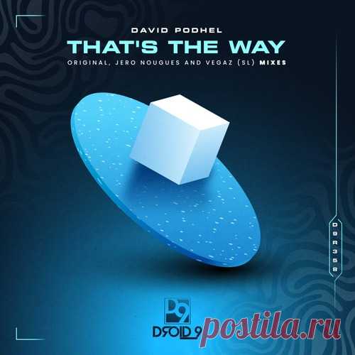 David Podhel – That’s the Way [D9R358] Sharing-DB.club