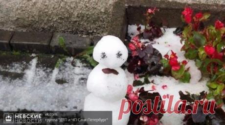 В Петербурге слепили июньского снеговика