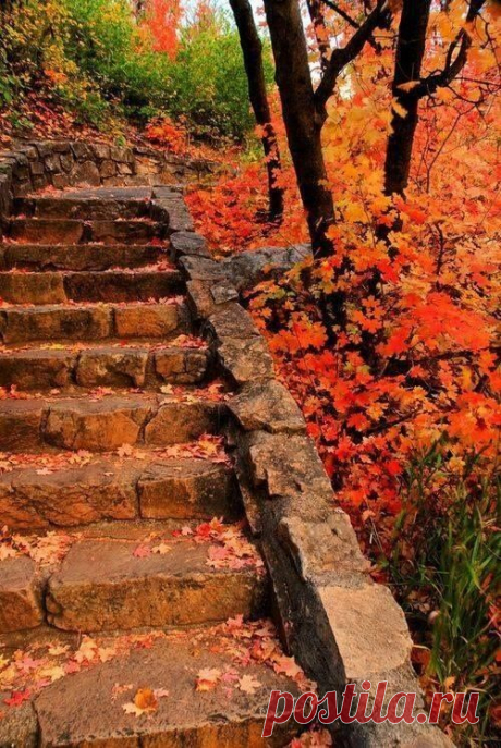 (15) Pinterest