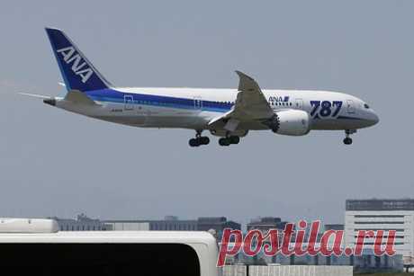 Авиакомпания случайно продала билеты в бизнес-класс по ценам эконома. Японская авиакомпания All Nippon Airlines случайно продала билеты в бизнес-класс на десятках рейсов по ценам эконома. Причиной снижения цен стала ошибка с обменным курсом валюты, однако в настоящее время сбой уже исправлен. Тем не менее пассажиры успели раскупить места стоимостью 10 тысяч долларов за 300 долларов.