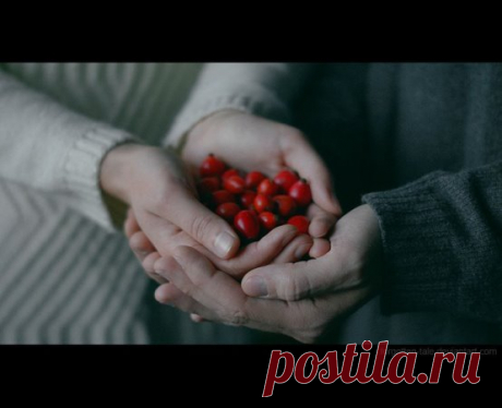 Если бы я знала, что у меня будешь ты, я бы ни разу никогда ни к кому не прикоснулась.
Захар Прилепин "Патологии"
