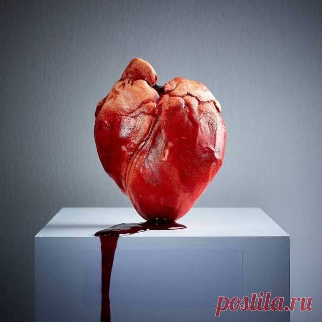 🐛 12 мерзких тортов, чтобы подарить начальнику Нужно переступить через отвращение.