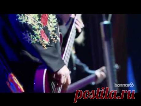 ZZ Top - Live at Bonnaroo 2013