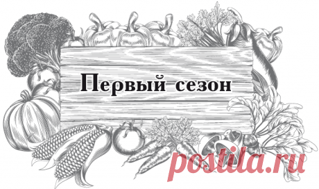 Читать &quot;Большой урожай на маленьких грядках. Все секреты повышения урожайности&quot; - Кизима Галина Александровна - Страница 1 - ЛитМир