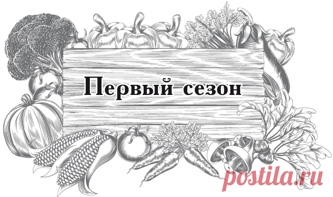 Читать "Большой урожай на маленьких грядках. Все секреты повышения урожайности" - Кизима Галина Александровна - Страница 1 - ЛитМир