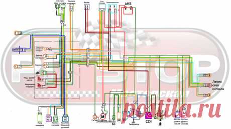 Как устроена проводка Honda Dio 34(35)Мастерская Pit_Stop | Мастерская Pit_Stop