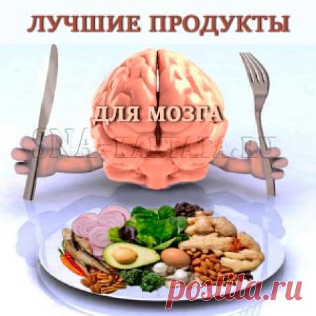 Лучшие продукты для мозга стимулируют его функции, повышают умственные способности и психическую устойчивость, предупреждают слабоумие
