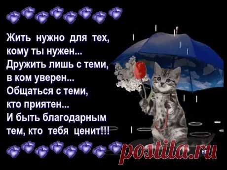 (4) Одноклассники