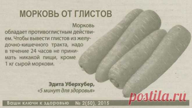 Морковь от глистов