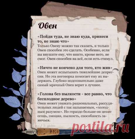 Google+                           Знаки зодиака