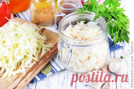 Как быстро и легко замариновать на зиму капусту / заготовки / 7dach.ru