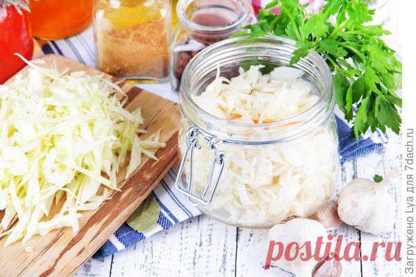 Как быстро и легко замариновать на зиму капусту / заготовки / 7dach.ru