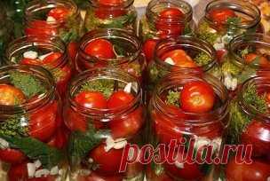 6 ИСПЫТАННЫХ  и ВКУСНЕЙШИХ способов заготовки ПОМИДОРОВ
Дорогие наши читатели.ЛЕГКО готовится, Очень ВКУСНЫЕ и НЕЖНЫЕ и СКАЗОЧНО вкусный СОК и УПРУГИЕ Помидорчики! Вы о Таких ТОЛЬКО и МЕЧТАЛИ и ПОРА приготовить и НАСЛАДИТЬСЯ самим и ПОБАЛОВАТЬ Вкусняшкой СЕМЬЮ.Природа, создавая помидоры, была, наверное, в самом лучшем расположении духа. 
Ничего она не пожалела для них — наделила свойствами и фрукта и овоща, раскрасила в зелёные, красные, жёлтые, розовые и даже фиолетовые цвета, а уж сколько ви